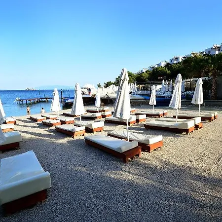 Otel Mio Bianco