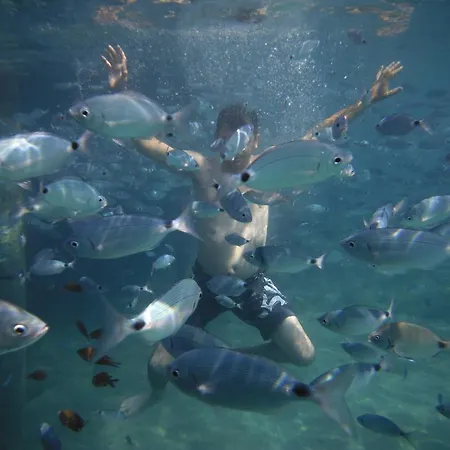 Mio Bianco فندق 4*